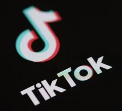 TokTik播放工具